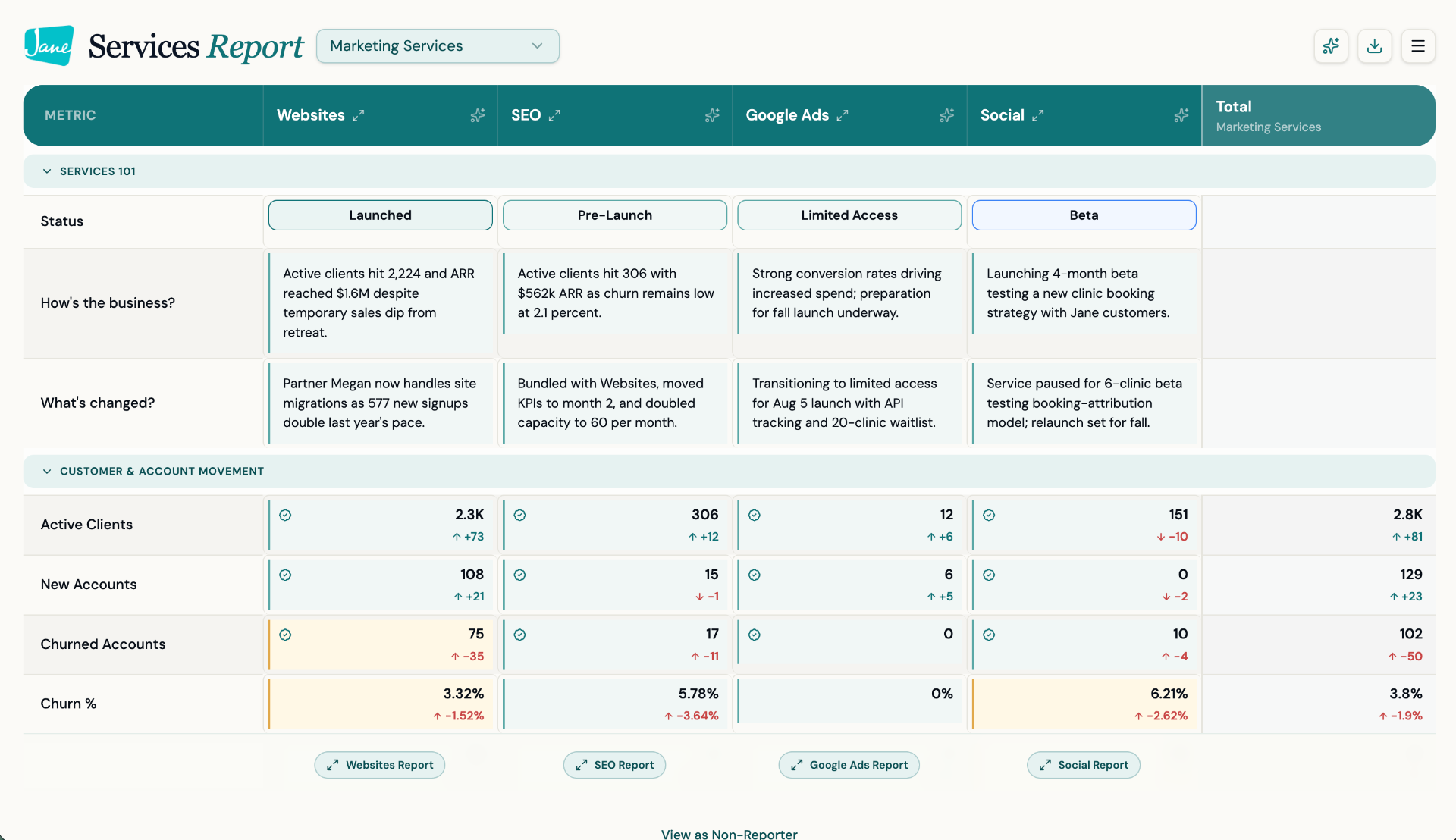 Jane Services Report preview